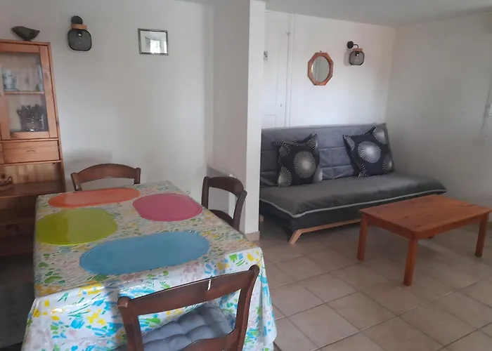 Apartment T2 Avec Terrasse Et Bbq, Proche Centre Et Plages - Fr-1-319-85