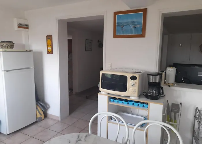 T2 Avec Terrasse Et Bbq, Proche Centre Et Plages - Fr-1-319-85 Apartment