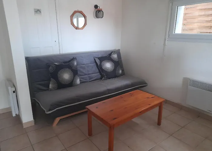 Apartment T2 Avec Terrasse Et Bbq, Proche Centre Et Plages - Fr-1-319-85 *